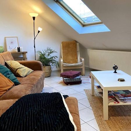 10Min Bus Strasbourg Centre-Parking Prive-Wifi-Tv Apartment Bischheim Exterior photo